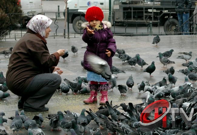 Çorlu'da küçük kız annesiyle birlikte güvercinleri besledi.