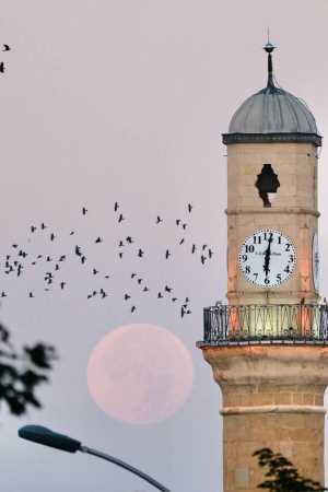 Bedava Yayın Olmaz!