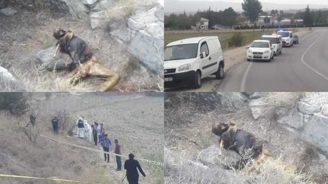 20 Gündür kayıptı Tarlada cesedi bulundu