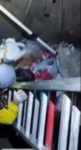 Çöp konteynerine sıkışan kedi böyle kurtarıldı