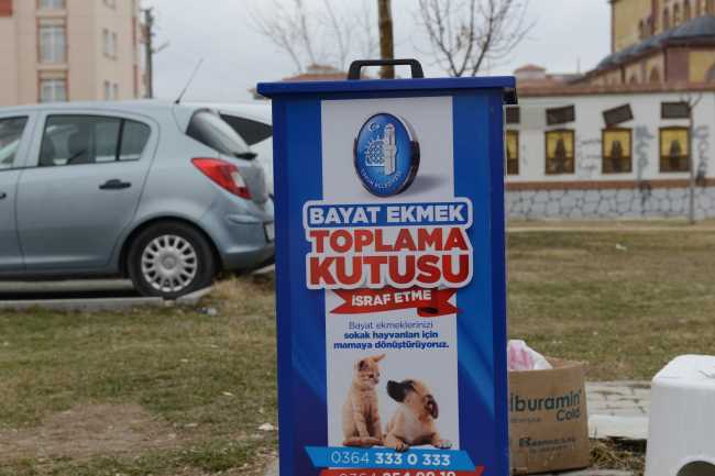 Çorum'da Bayat Ekmekler, Çöpe Değil; Sokak Hayvanlarına gidiyor