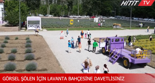 Çorum’un lavanta bahçesi yoğun ilgi görüyor