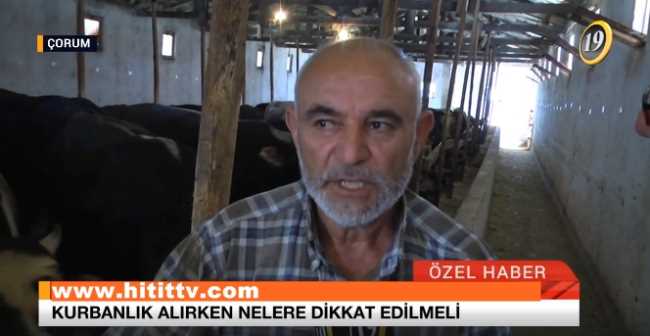 Faruk Çavuş Kurban Satışına Başladı