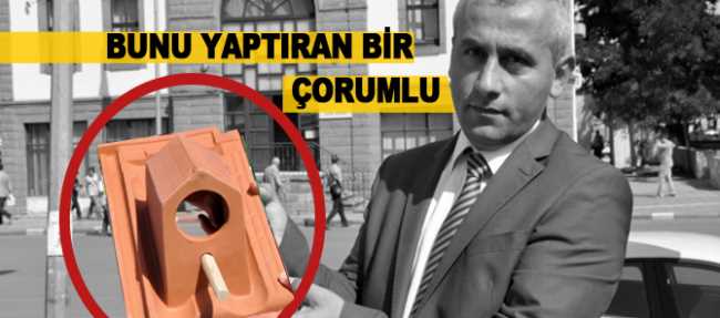 Kuş yuvalı kiremitler