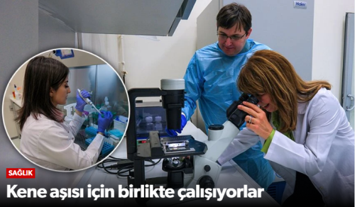 "Hitit ve Maryland Üniversitesi, KKKA Hastalığına Karşı Aşı Geliştiriyor"