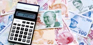 2013 Yılında Vatandaş, Devlete  nekadar Ödeme yapacak  