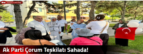 Ak Parti Çorum Teşkilatı Sahada!