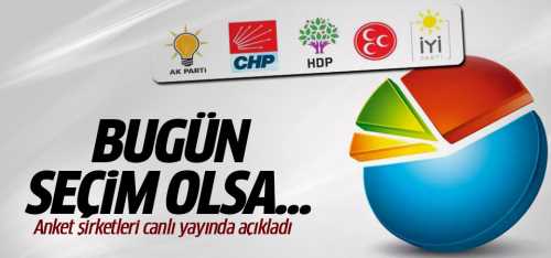 Anketlerdeki son durum ne?