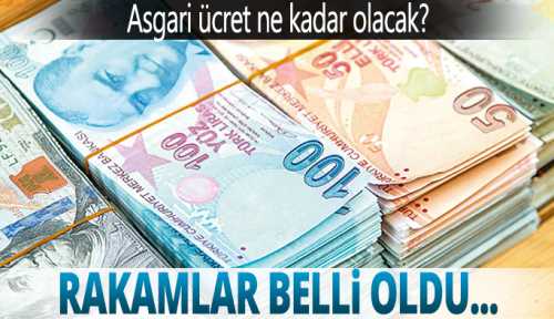 Asgari ücretin net 2020 tahmini 2.300-2.500 TL