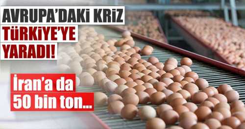 Avrupa'daki yumurta krizi Türkiye'ye  ve Çorum'a yaradı!