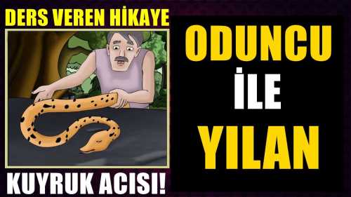 Aylin Alveren Özen'in  Kuyruk Acısı Köşe Yazısı