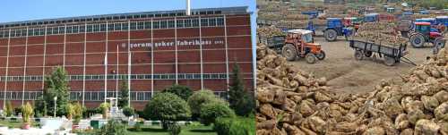 Bakan Ağbal, 14 şeker fabrikasına yönelik eleştiri ve tartışmalara nokta