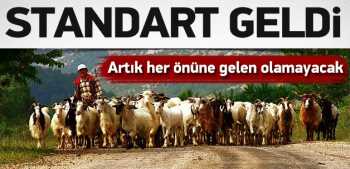 Bundan böyle her önüne gelen çoban olamayacak