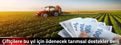 Çiftçilere bu yıl için ödenecek tarımsal destekler belli oldu