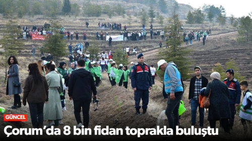 Çorum’da 8 Bin Fidan Toprakla Buluştu!