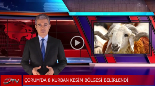 Çorum'da 8 Kurban Kesim Bölgesi Belirlendi