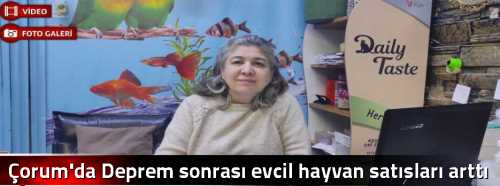 Çorum'da Deprem sonrası evcil hayvan satışları arttı 