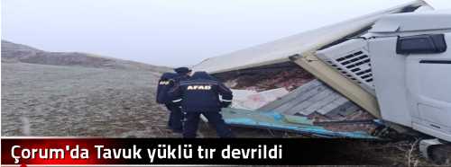 Çorum'da Tavuk yüklü tır devrildi