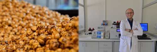 Çorum Leblebisi  besin değeri yüksek ve sağlıklı bir atıştırmalık 