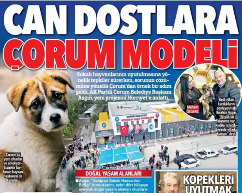 Çorum Sahipsiz Sokak Hayvanları Birliği kurdu!