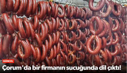 Çorum/Sungurlu’da Sucuk Skandalı!