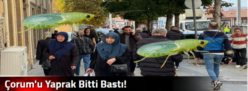 Çorum'u Yaprak Bitti Bastı!