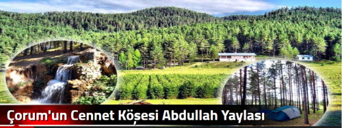 Çorum'un Cennet Köşesi Abdullah Yaylası