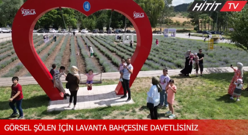 Çorum’un lavanta bahçesi yoğun ilgi görüyor