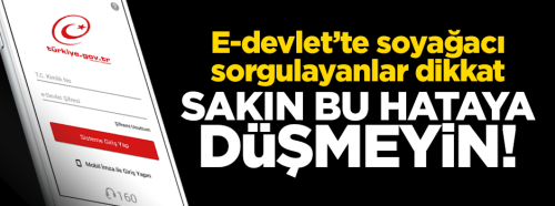 DİKKAT! SOY AĞACINIZI HIRSIZLAR ÇALABİLİR!..