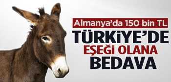Eşşeğin Kıymetini eşeğebinen bilir  