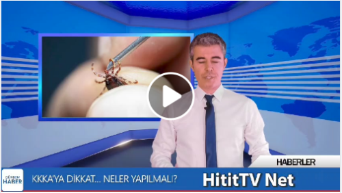 Havalar ısındı keneler ortaya çıktı!