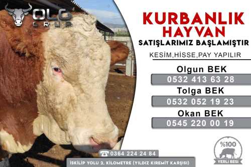 kurban
