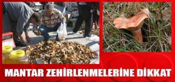 MANTAR MEVSİMİ GELDİ ZEHİRLENMELER ARTTI 