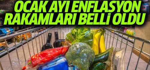 Ocak ayı enflasyonu açıkladı
