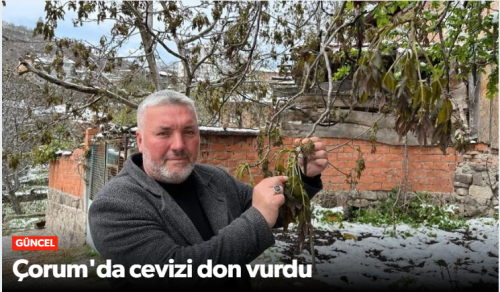 Oğuzlar Cevizini Don Vurdu!