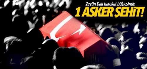 Zeytin Dalı harekat bölgesinde 1 asker şehit!