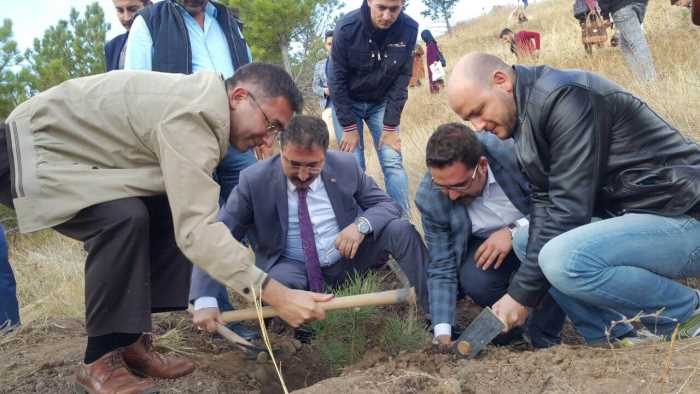  15 Temmuz Şehitler Hatıra Ormanı
