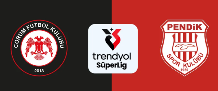 Ahlatçı Çorum FK - Pendik Spor Maçı