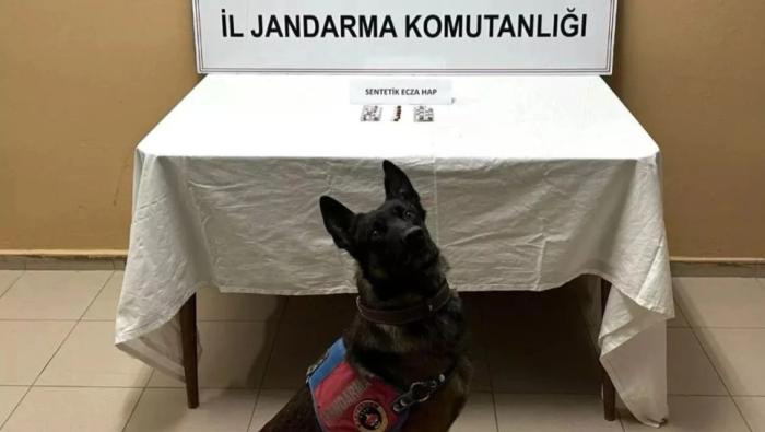 Alaca’da Jandarmadan Uyuşturucu Operasyonu: 3 Gözaltı