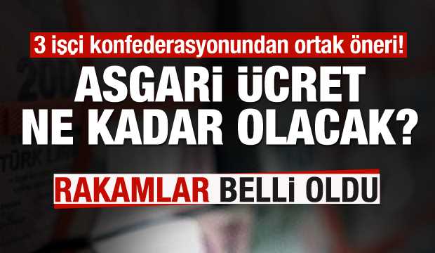 Asgari ücretin net 2020 tahmini 2.300-2.500 TL