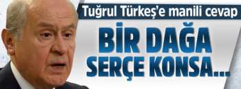 Bahçeli'den  Tuğrul Türkeş'e cevap