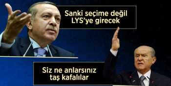 Bahçeli'den Formül Eleştirilerine cevap: Taş Kafalılar