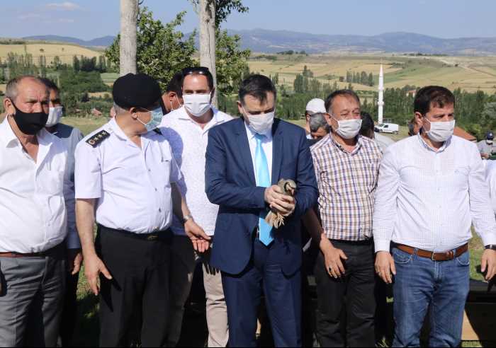 Biyolojik mücadelede Keklik timi doğaya bırakıldı