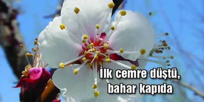 Bugün günlerden CEMRE 