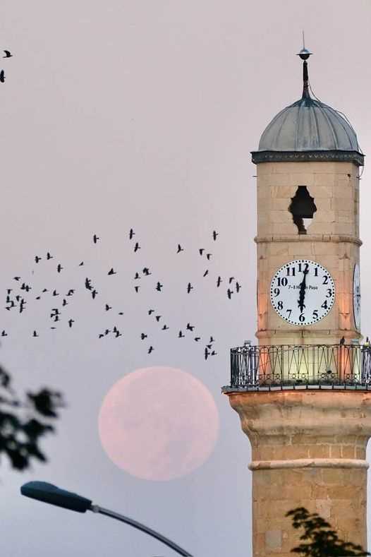 Çorum Bölge Ekonomisinde Yine Lider! 