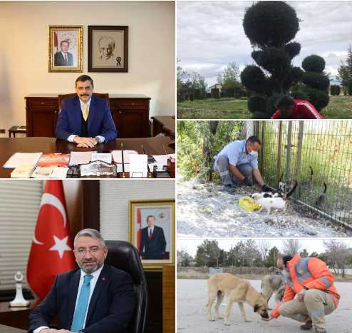 Çorum’da ‘Sahipsiz Hayvanları Koruma Birliği’ kuruluyor