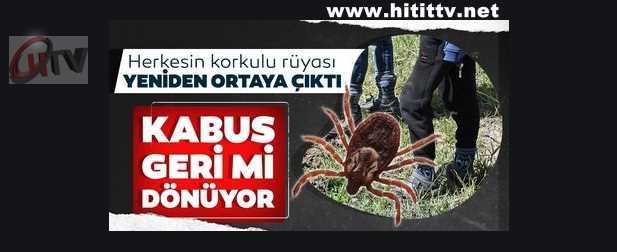 Çorum’da KENE vakaları müracaatı başladı