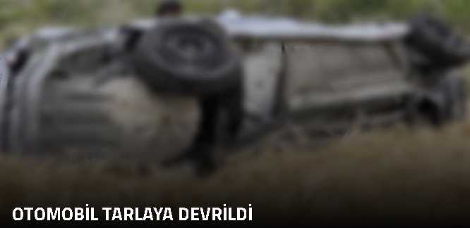 Çorum'da Otomobil Tarlaya Uçtu
