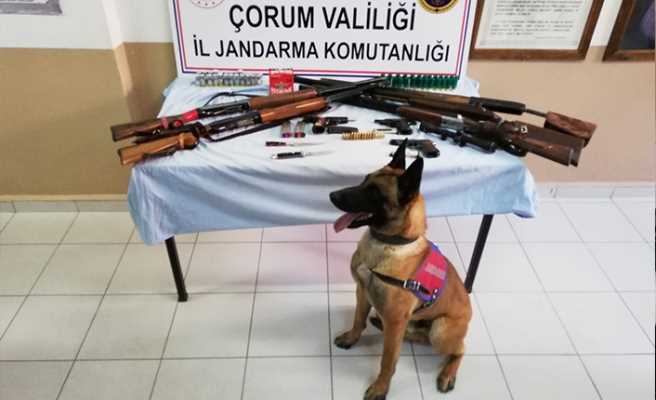 Çorum'da silah kaçakçılığı yapan 2 kişi yakalandı