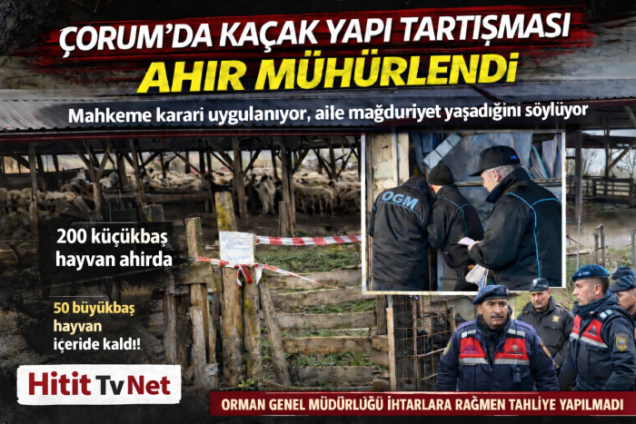 Çorum Deniz Köyü’nde Ormanlık Alana Yapılan Kaçak Ahır Mühürlendi!